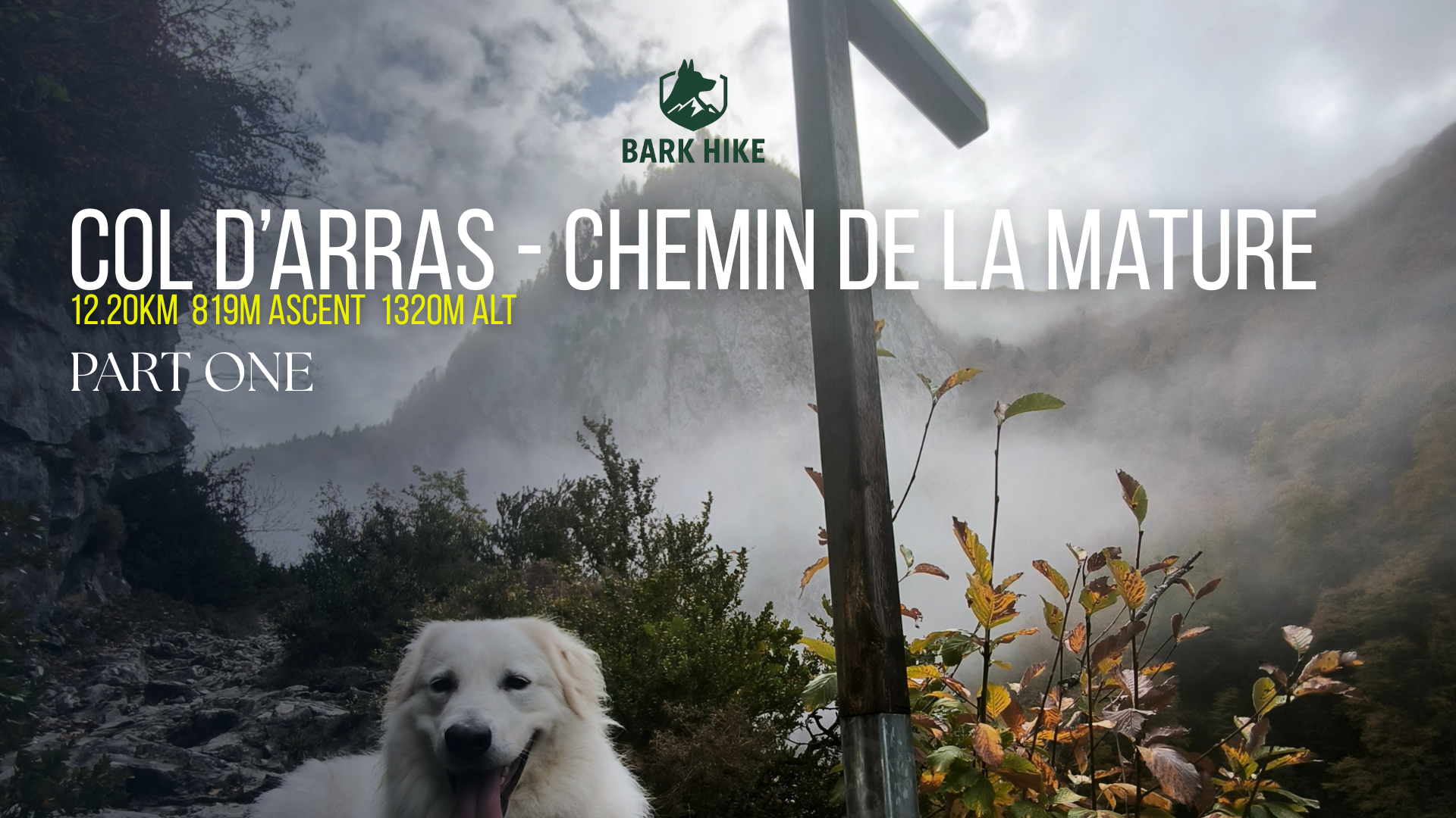 Dog in a mountainous landscape with hiking trail signs and 'Bark Hike' branding.