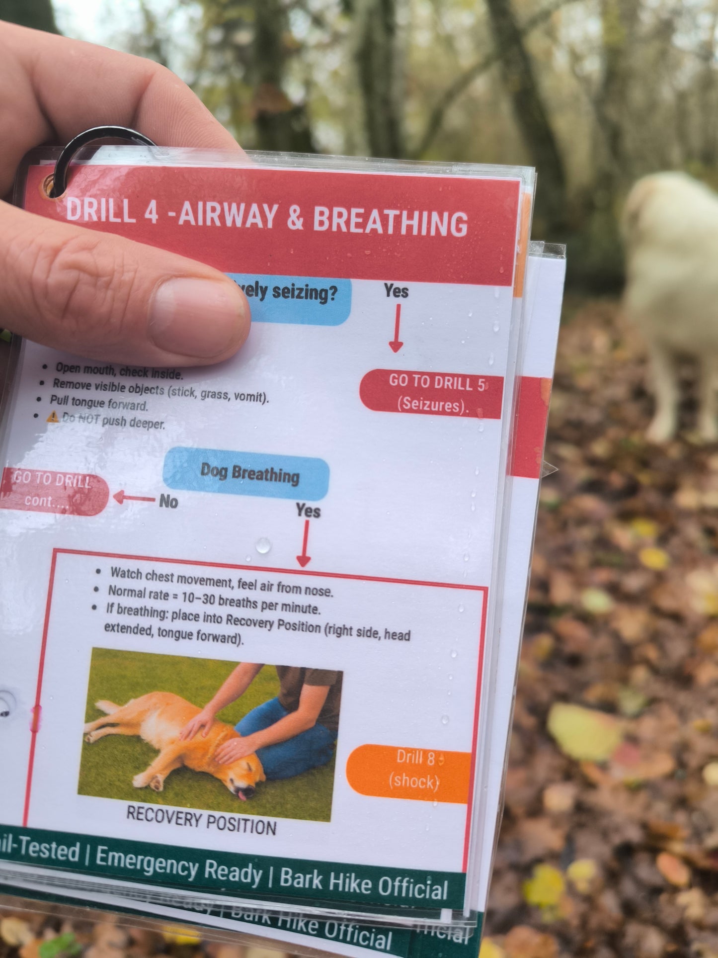 Bark Hike – Canine First Aid Aide Memoir (Digital Download)