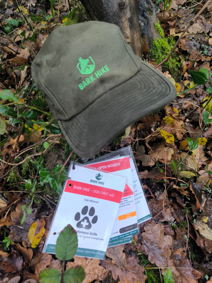 Bark Hike – Canine First Aid Aide Memoir (Digital Download)
