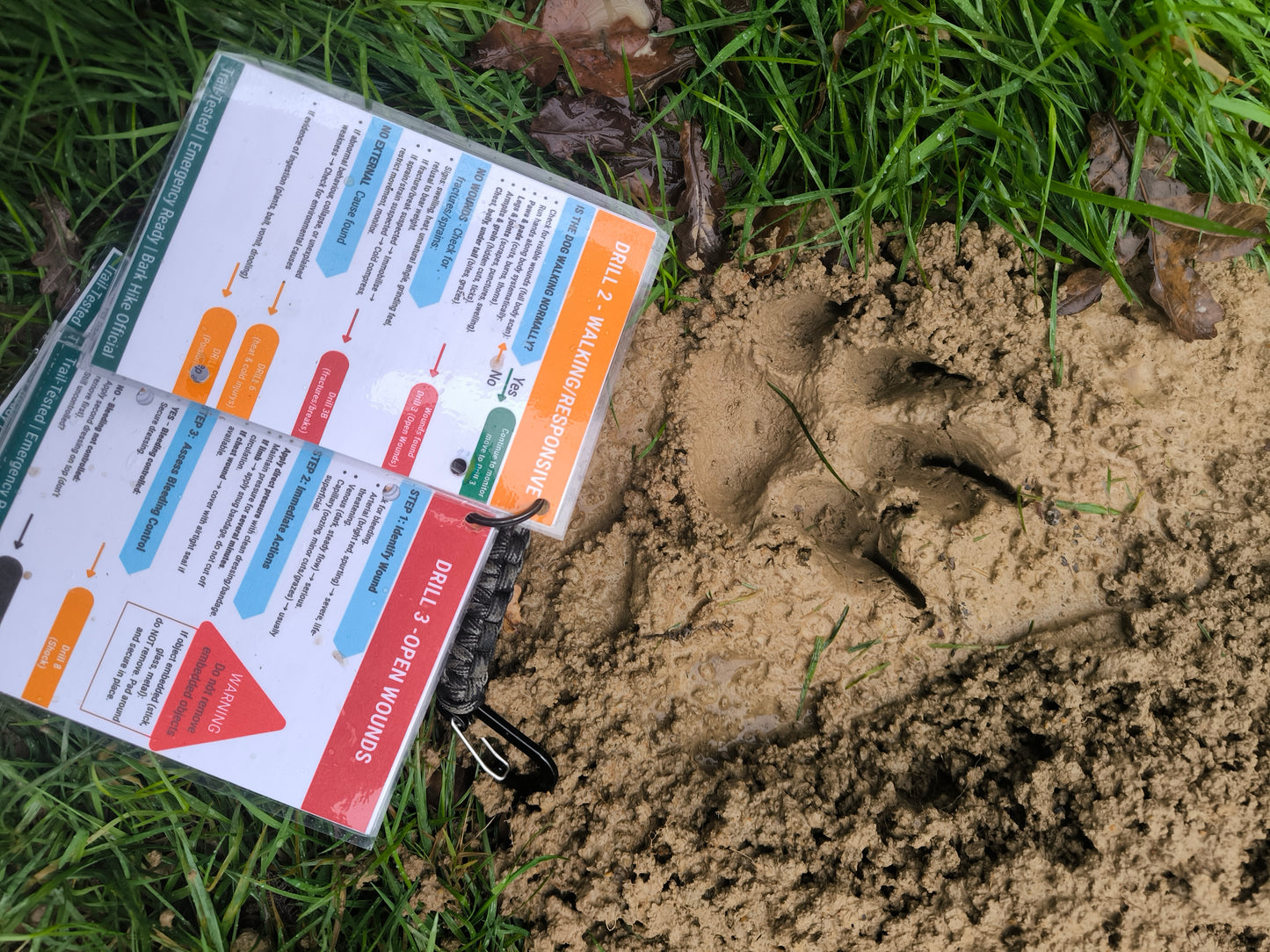 Bark Hike – Canine First Aid Aide Memoir (Digital Download)