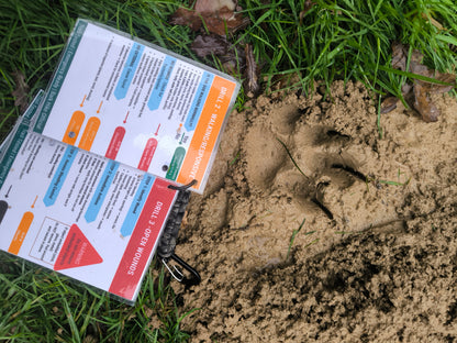 Bark Hike – Canine First Aid Aide Memoir (Digital Download)