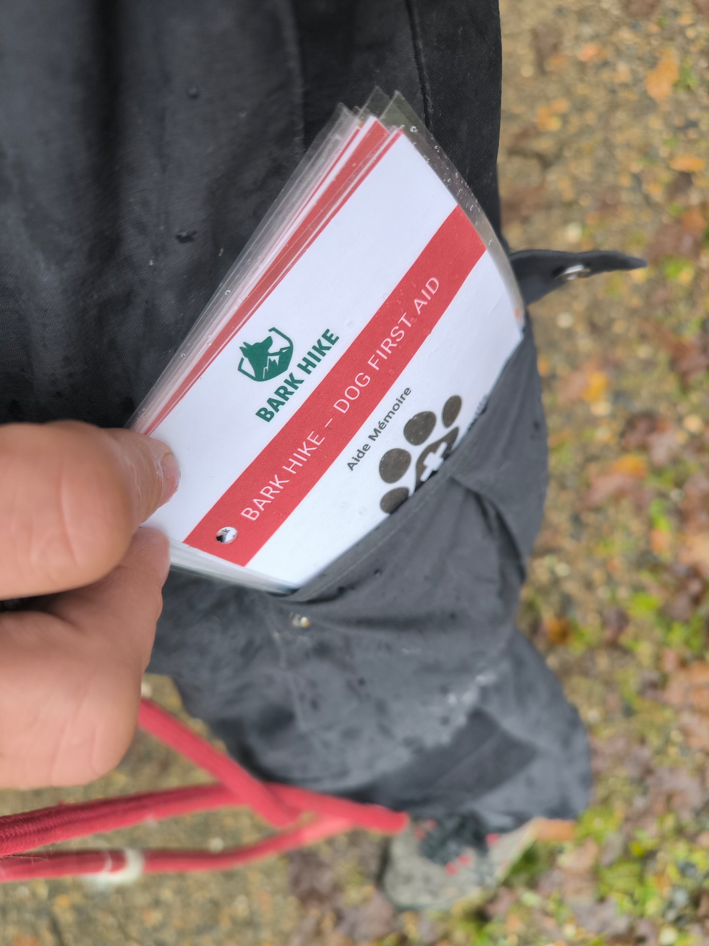 Bark Hike – Canine First Aid Aide Memoir (Digital Download)